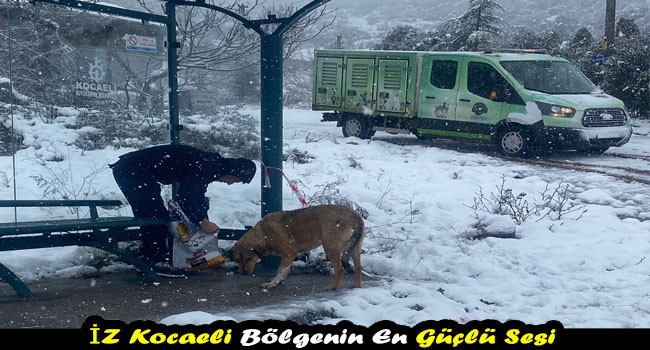 Körfez´de sokak hayvanları unutulmadı