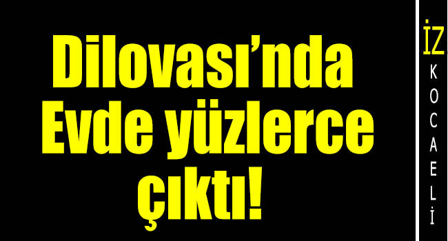 Dilovası’nda Cephanelik Gibi Ev! Jandarma Dilovası'nda düğmeye bastı